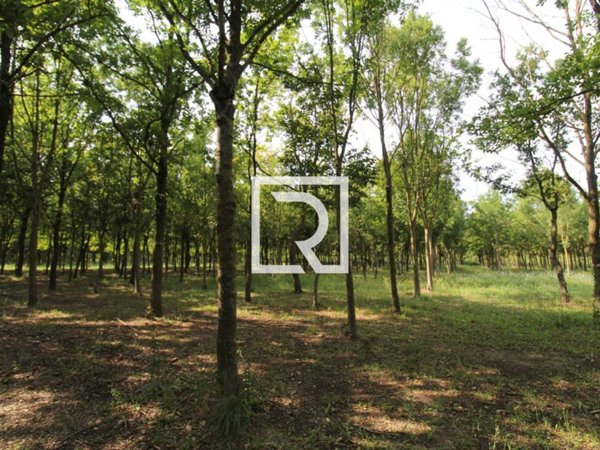 terreno agricolo in vendita a Ravenna in zona Classe