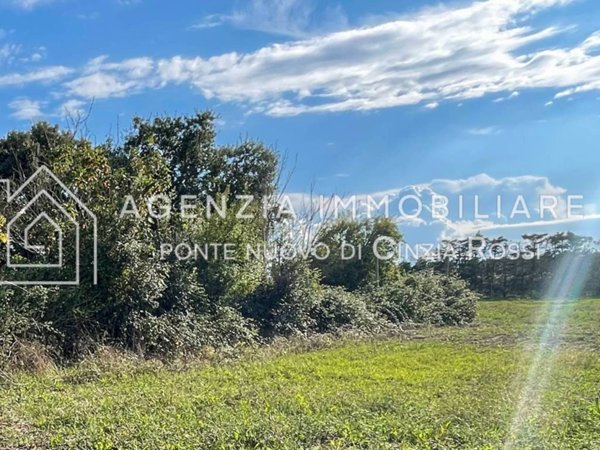 terreno agricolo in vendita a Ravenna in zona Lido di Classe