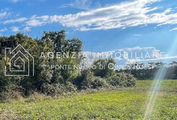 casa indipendente in vendita a Ravenna in zona Lido di Classe