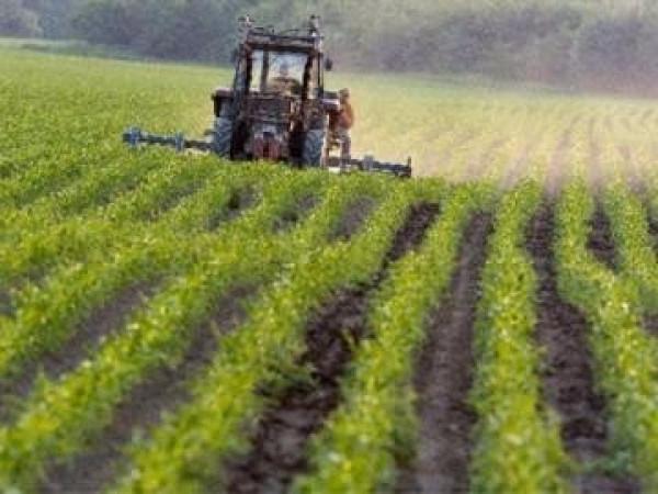 terreno agricolo in vendita a Ravenna in zona Centro Storico
