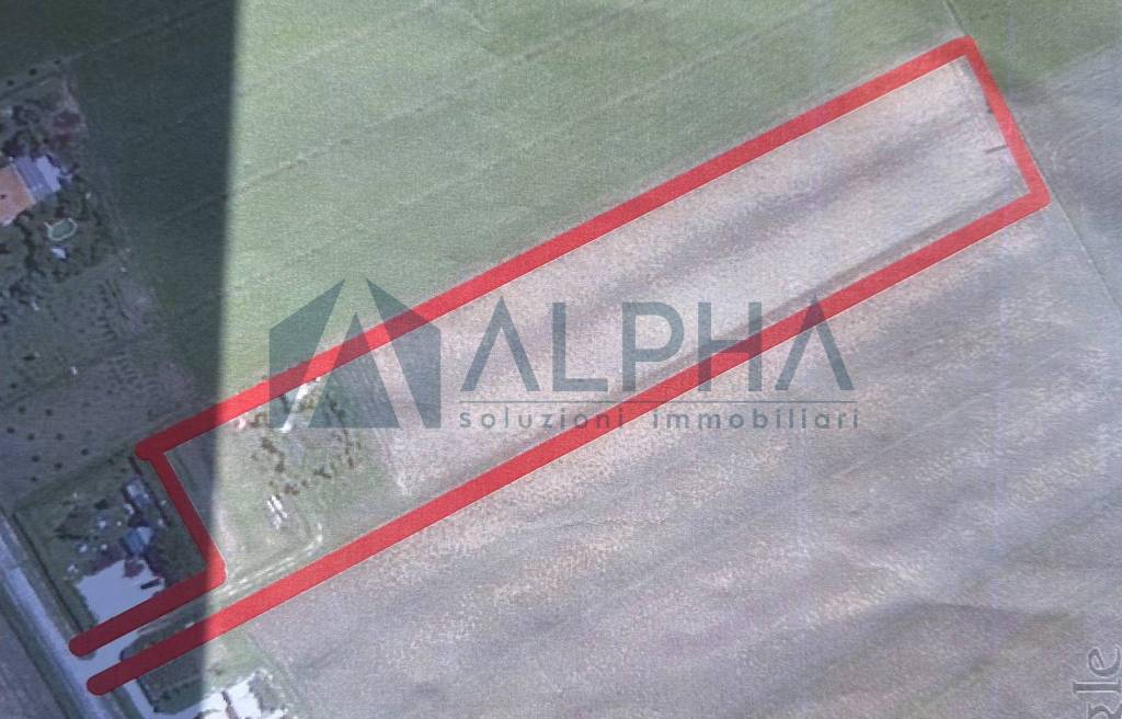 terreno agricolo in vendita a Ravenna in zona Fosso Ghiaia