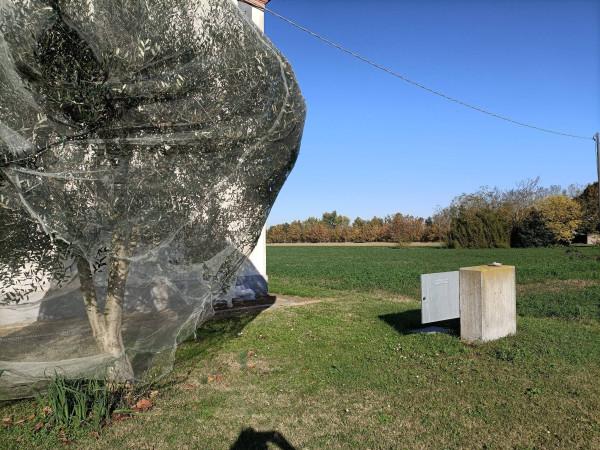 terreno agricolo in vendita a Ravenna in zona Centro Storico