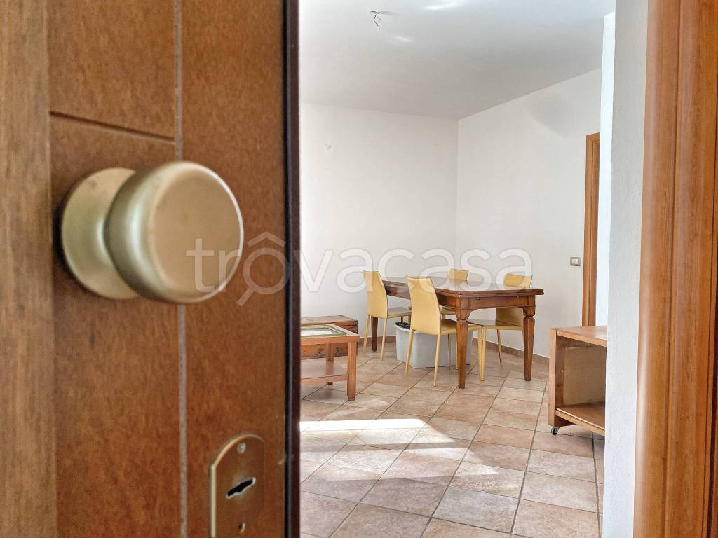 immagine annuncio 0 di 15
