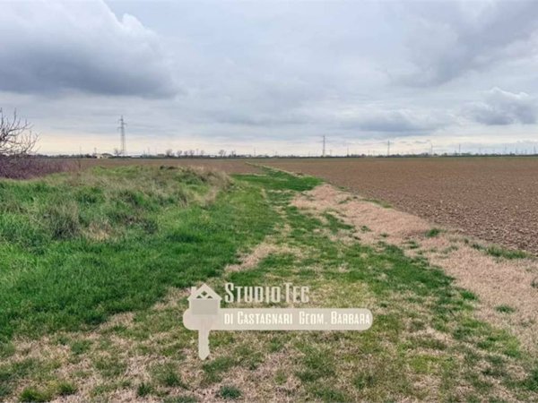 terreno agricolo in vendita a Ravenna in zona Borgo Montone