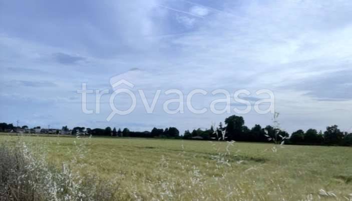 appartamento in vendita a Ravenna in zona Gambellara