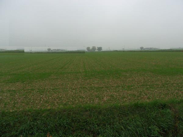 terreno agricolo in vendita a Ravenna in zona Centro Storico