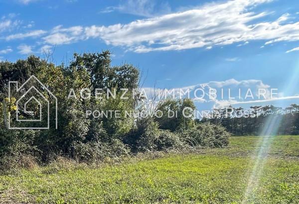 negozio in vendita a Ravenna in zona Centro Storico