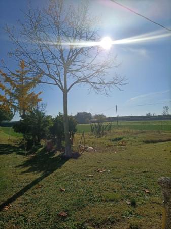 terreno agricolo in vendita a Ravenna in zona Centro Storico