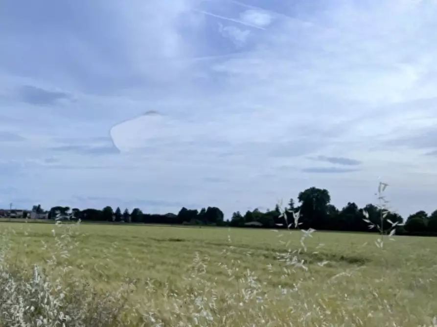 terreno edificabile in vendita a Ravenna in zona Classe