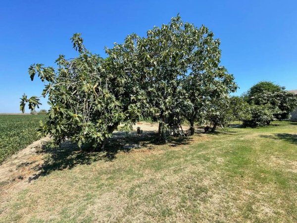 casa indipendente in vendita a Ravenna in zona Castiglione di Ravenna