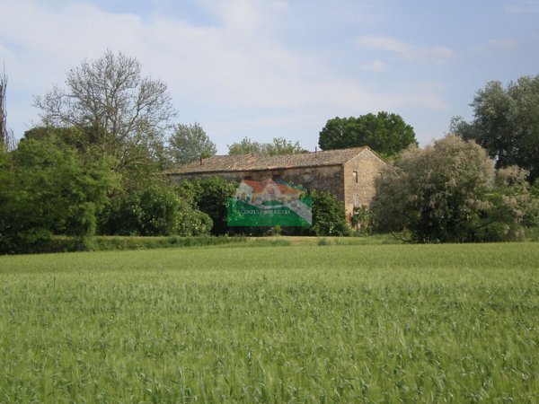 casale in vendita a Ravenna in zona Madonna dell'Albero