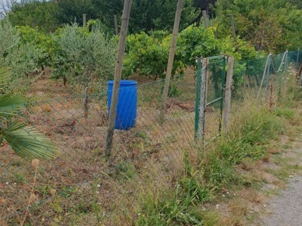 terreno edificabile in vendita a Ravenna in zona Mezzano
