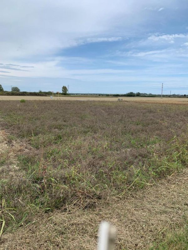 terreno agricolo in vendita a Ravenna in zona Punta Marina Terme