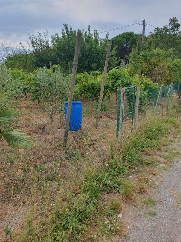 terreno edificabile in vendita a Ravenna in zona Classe