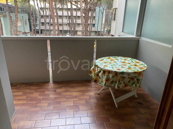 appartamento in vendita a Ravenna in zona Marina Romea