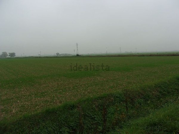 terreno agricolo in vendita a Ravenna in zona Roncalceci