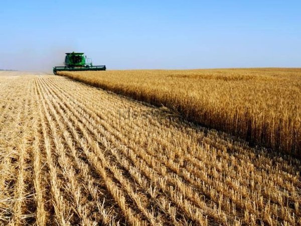 terreno agricolo in vendita a Ravenna