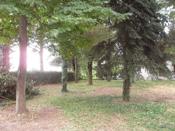 terreno edificabile in vendita a Ravenna in zona Ammonite