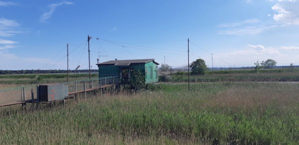 appartamento in vendita a Ravenna in zona Marina Romea