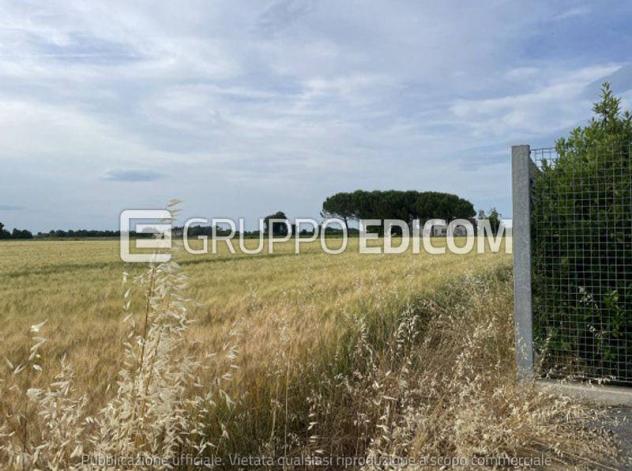 terreno agricolo in vendita a Ravenna in zona San Pietro in Vincoli
