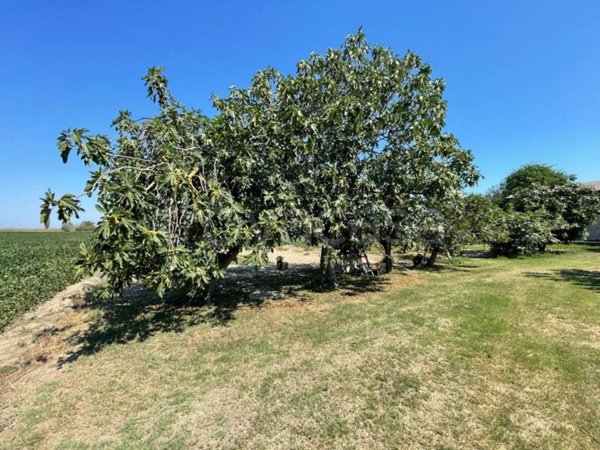casa indipendente in vendita a Ravenna in zona Lido di Classe