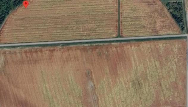 appartamento in vendita a Ravenna in zona Punta Marina Terme