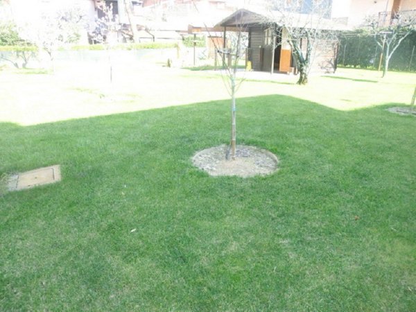 casa indipendente in vendita a Ravenna in zona Ponte Nuovo