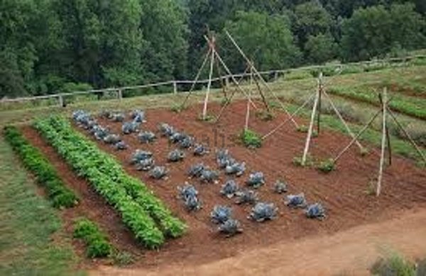 terreno edificabile in vendita a Ravenna