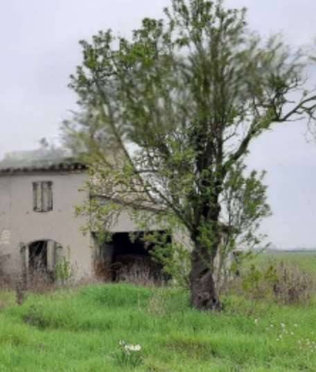casa indipendente in vendita a Ravenna in zona Classe