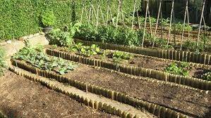 terreno edificabile in vendita a Ravenna in zona Classe