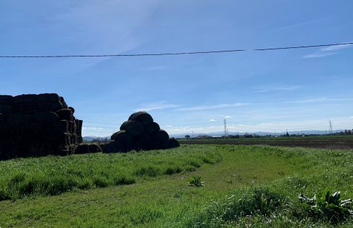 terreno agricolo in vendita a Ravenna in zona Classe