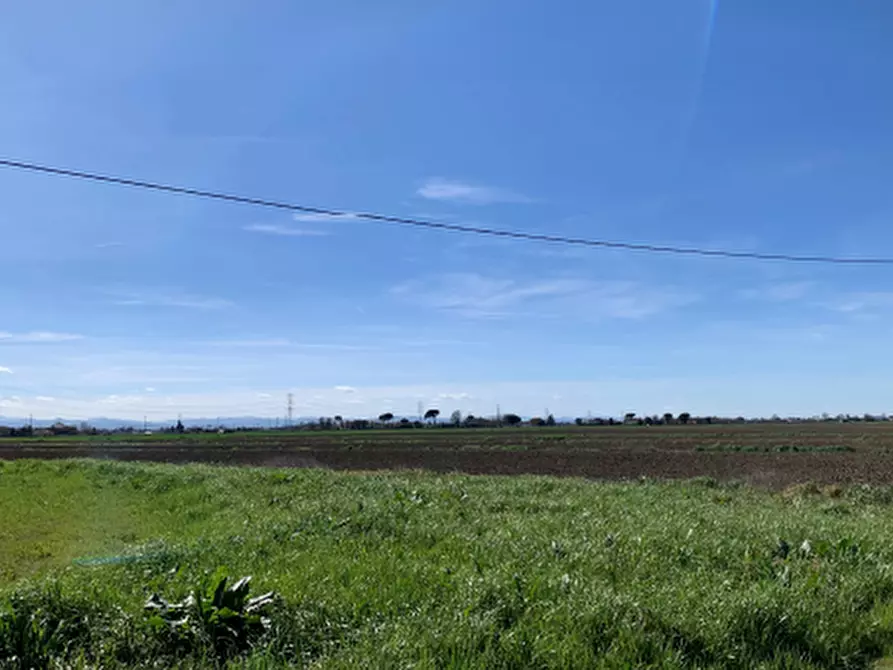 terreno agricolo in vendita a Ravenna in zona Classe