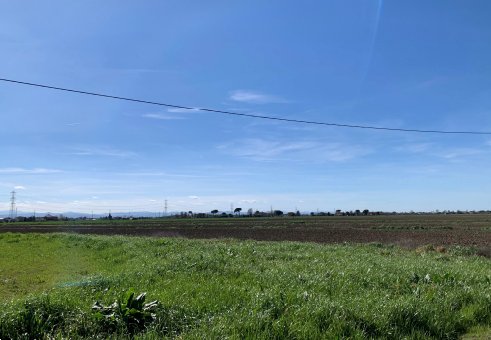 terreno agricolo in vendita a Ravenna in zona Classe