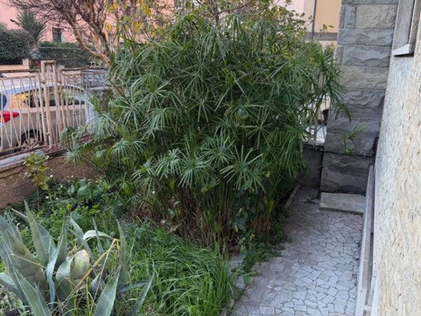 casa indipendente in vendita a Ravenna in zona Centro Storico