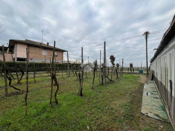 terreno agricolo in vendita a Ravenna in zona San Pietro in Vincoli