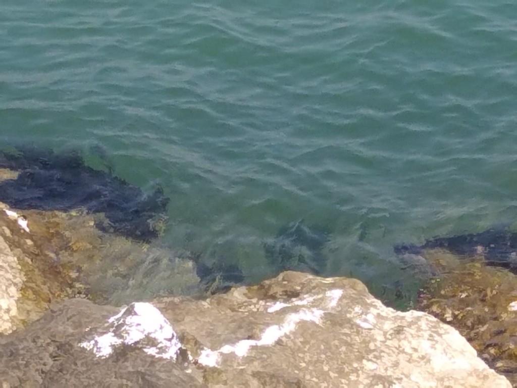 appartamento in vendita a Ravenna in zona Lido di Classe