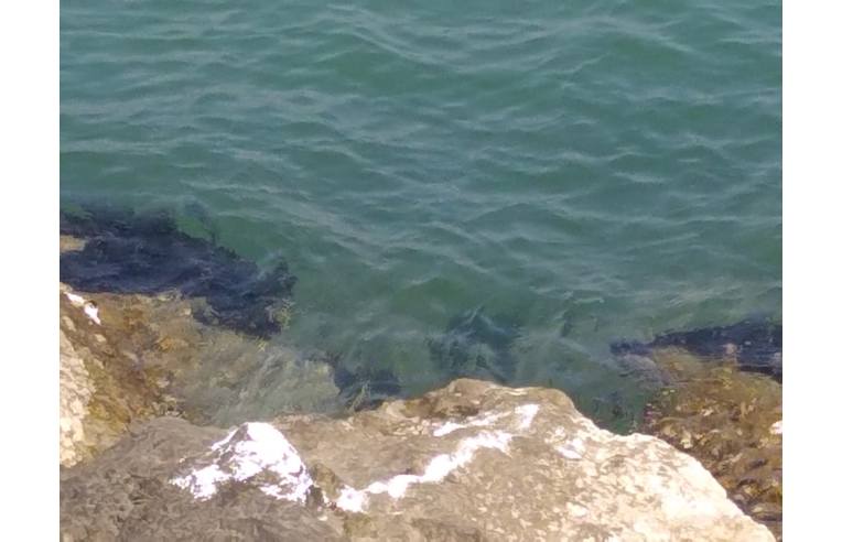 appartamento in vendita a Ravenna in zona Lido di Classe