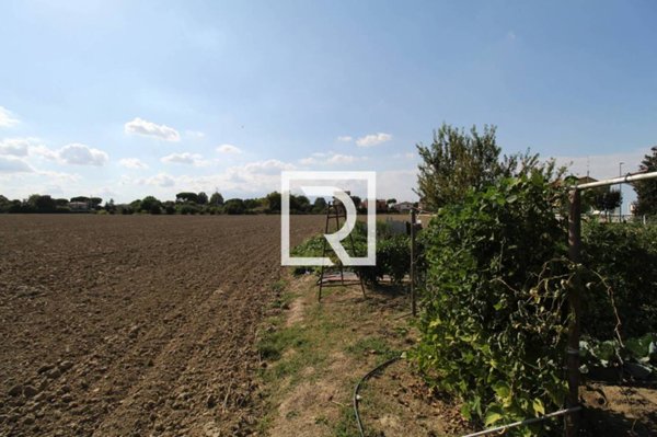 terreno agricolo in vendita a Ravenna in zona Piangipane
