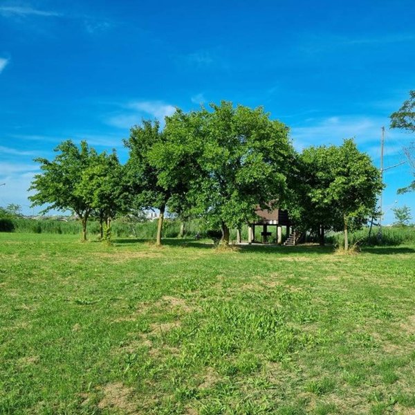 terreno agricolo in vendita a Ravenna in zona Lido di Classe
