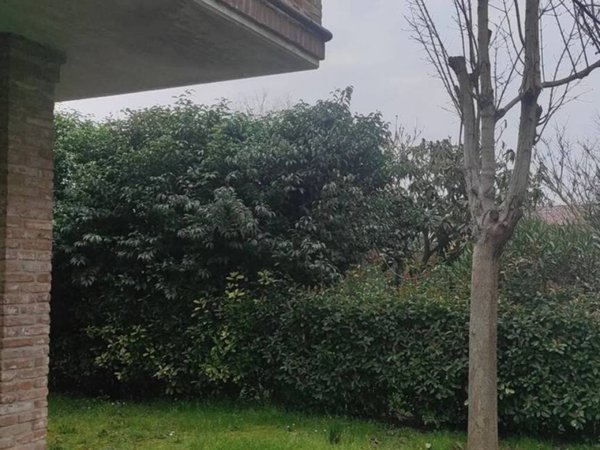 casa indipendente in vendita a Ravenna in zona Mezzano