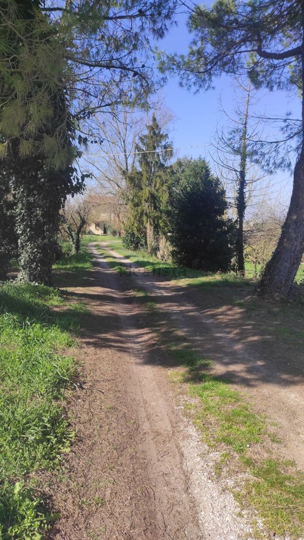 casa indipendente in vendita a Ravenna in zona Sant'Alberto