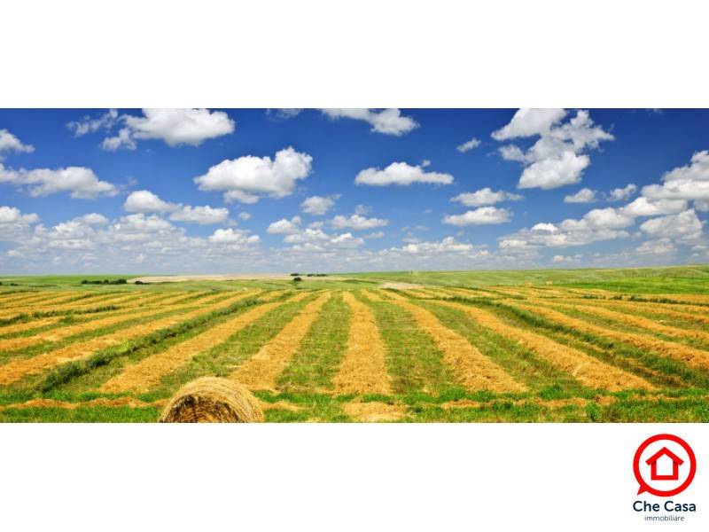 terreno agricolo in vendita a Ravenna in zona San Pietro in Vincoli