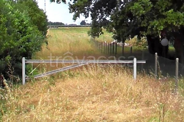casa indipendente in vendita a Ravenna in zona San Zaccaria