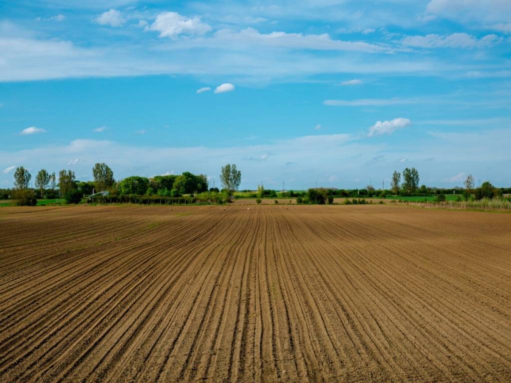 terreno agricolo in vendita a Ravenna in zona Piangipane