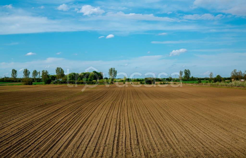 terreno agricolo in vendita a Ravenna in zona Camerlona