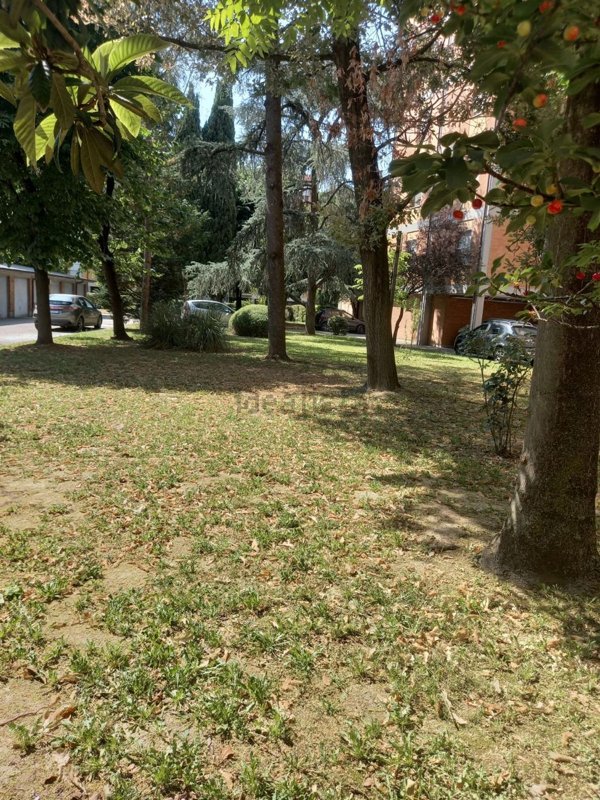 appartamento in vendita a Ravenna