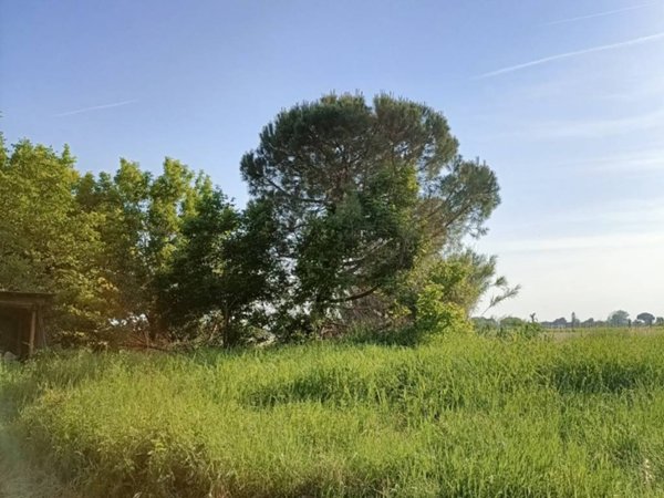 casa indipendente in vendita a Ravenna in zona Santerno