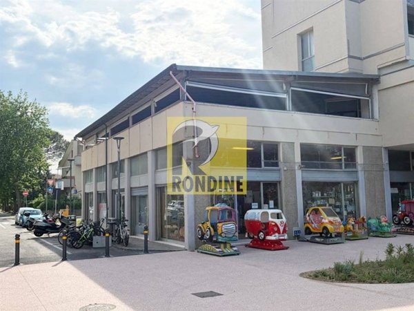 pentavano in vendita a Ravenna in zona Lido di Classe