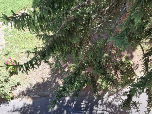 appartamento in vendita a Ravenna in zona Ponte Nuovo