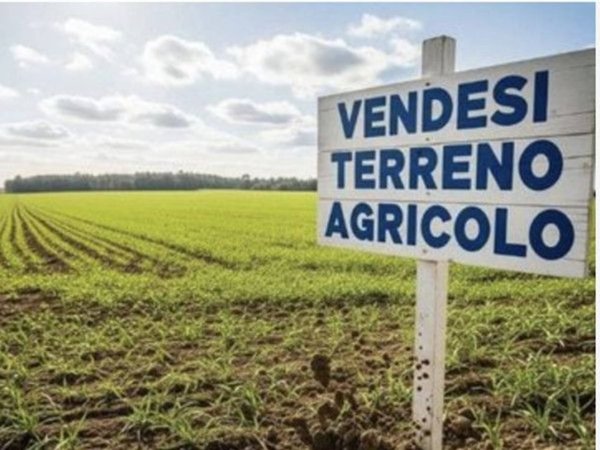 terreno agricolo in vendita a Ravenna in zona Centro Storico
